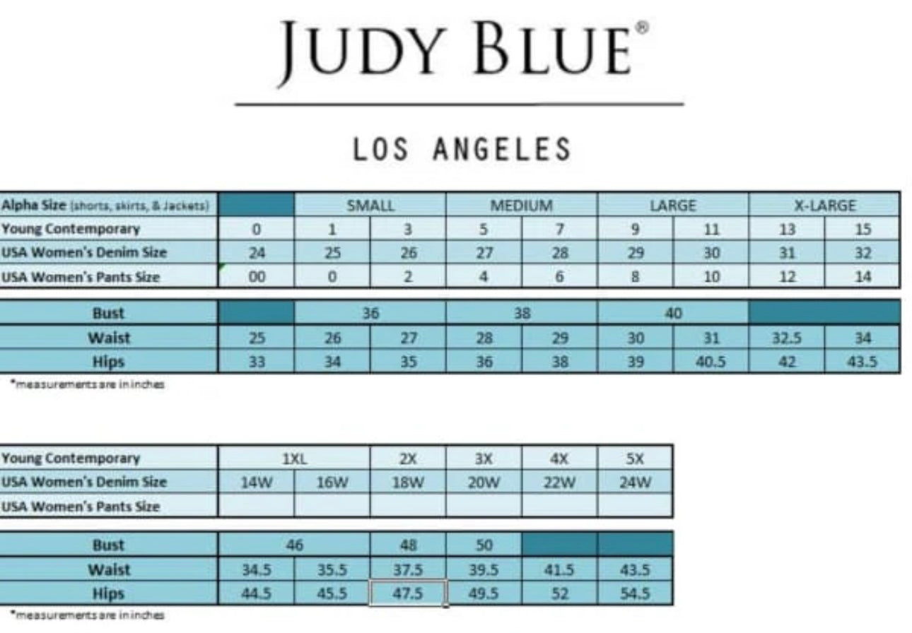 Judy Blue Tummy Control Shorts